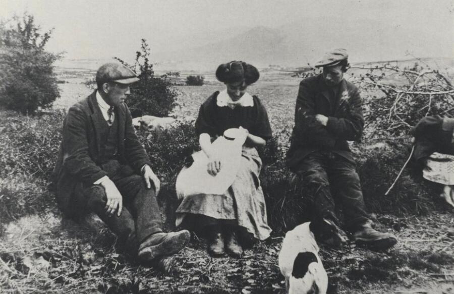 Flowering at Hilltown. Collection of Newry & Mourne Museum