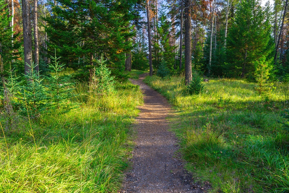 Photo by Joshua Woroniecki on Unsplash