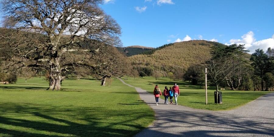 Kilbroney Forest Park