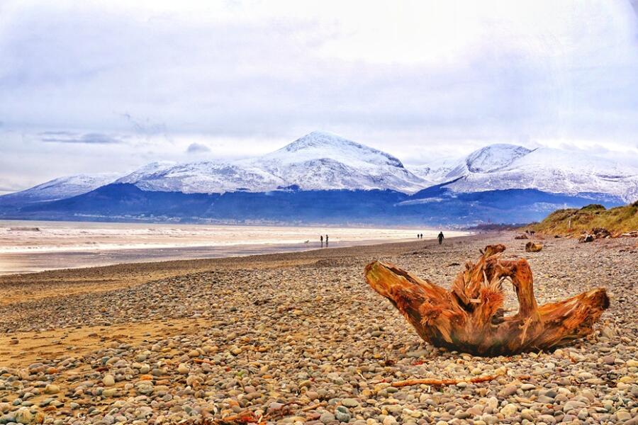 Last year’s winning entry for the Ring of Gullion, Mournes and Strangford and Lecale, annual AONB Photography Competition 2025 is entitled ‘Murlough Driftwood’ by Evan Boyce.  