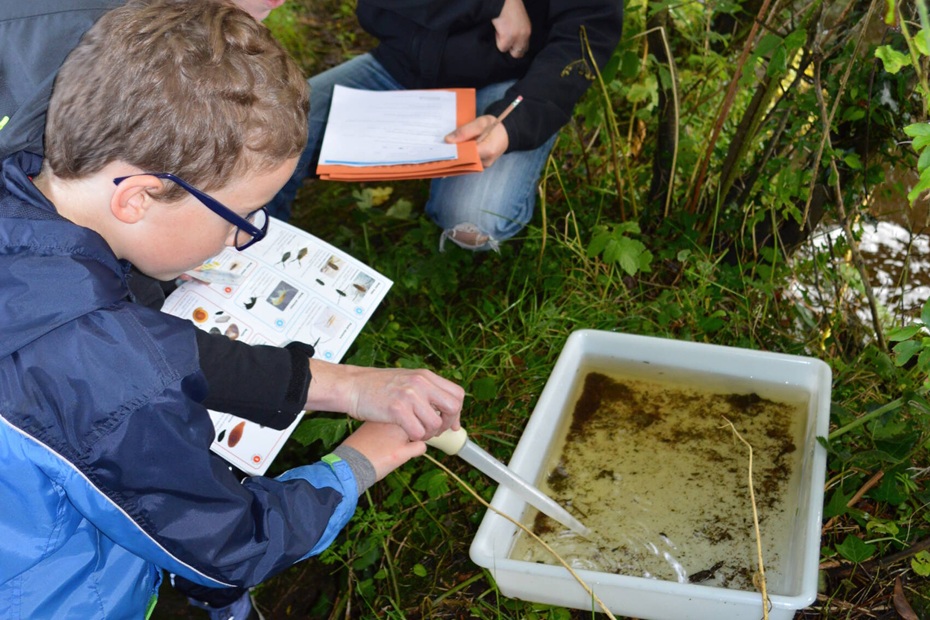 taking part in a hands-on river survey on Forkhill river, learning practical ways to care for local rivers and the natural environment across the Ring of Gullion.