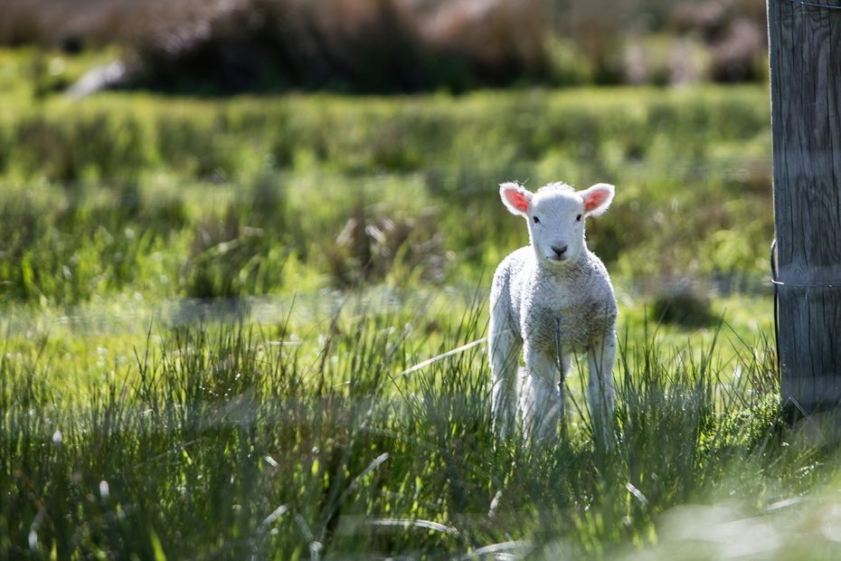 Photograph:Rod Long/ Unsplash