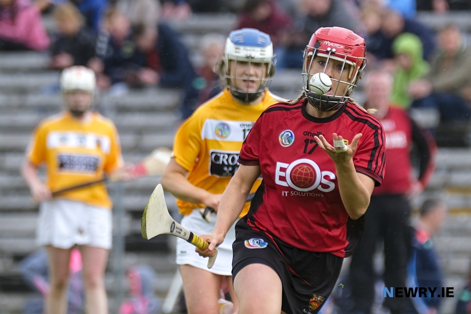 Down v Antrim in the Senior Camogie Ulster Final in 2019. Photograph: Columba O'Hare/ Newry.ie 