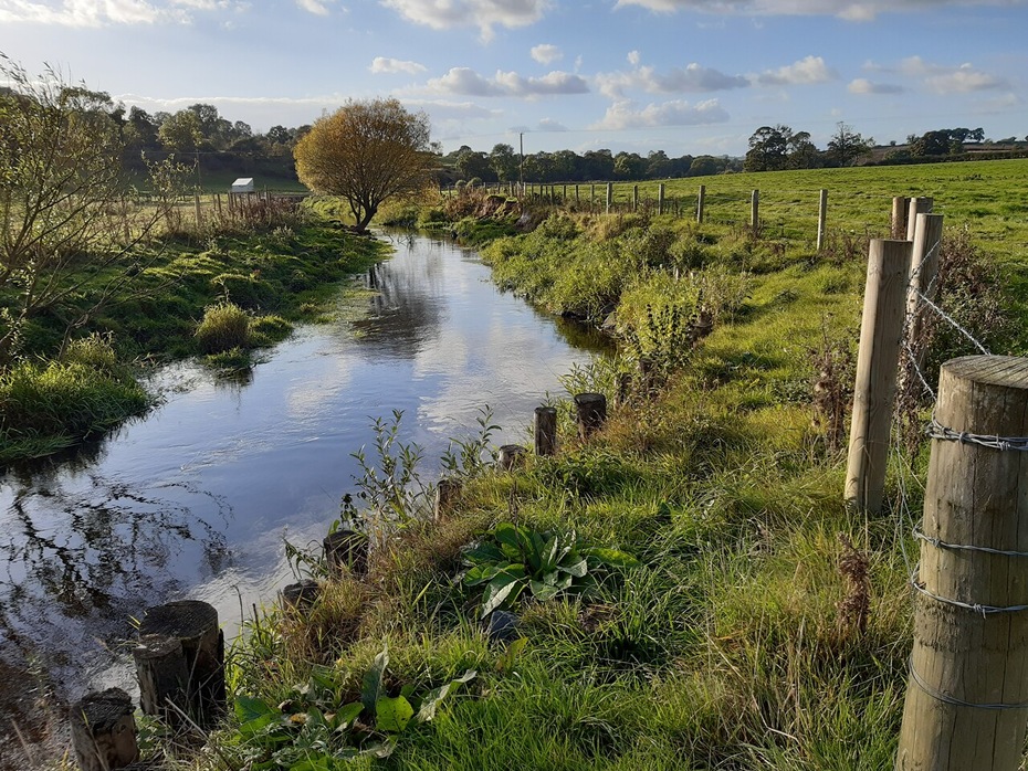 Improvement works in the Carlingford catchment area.