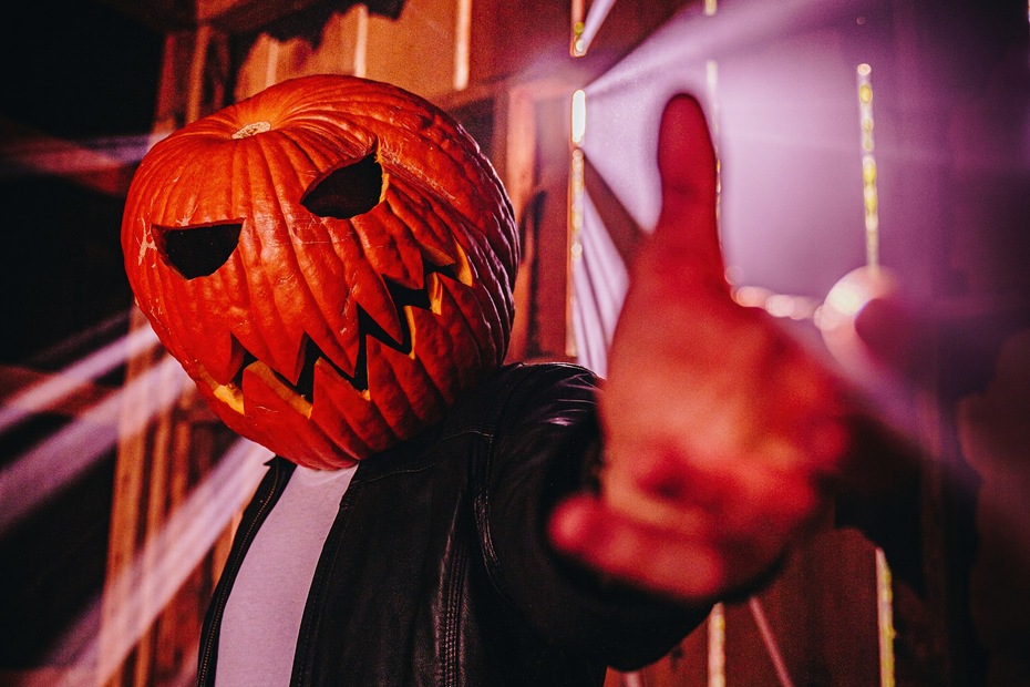 Photograph: Susie Burleson/ Unsplash