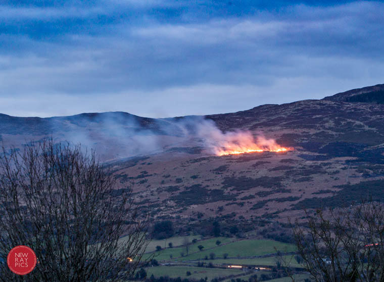 The February fire on Camlough mountain. Photograph: NewRayPics.com