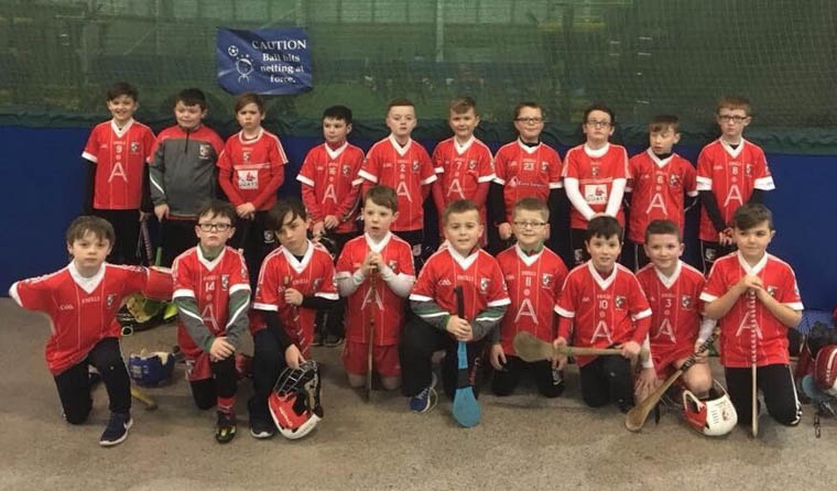 Some of young Craobh Rua Camlocha hurlers who participated in the Recent Hurling Blitz Competitions in Dundalk DKIT Some of young Craobh Rua Camlocha hurlers who participated in the Recent Hurling Blitz Competitions in Dundalk DKIT