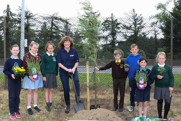 Warrenpoint Port Chief Executive Clare Guinness joins pupils from local schools including Dromore Road Primary and St Dallan’s in Warrenpoint, Kilbroney Integrated Primary and St Bronagh’s Primary, both in Rostrevor’ St Colman’s in Kilkeel, St Patrick’s Primary in Mayobridge and Carrick Primary in Burren to plant some of the 1,100 trees purchased by the port as part of a £55,000 investment to improve the appearance of the harbour boundary. Warrenpoint Port Chief Executive Clare Guinness joins pupils from local schools including Dromore Road Primary and St Dallan’s in Warrenpoint, Kilbroney Integrated Primary and St Bronagh’s Primary, both in Rostrevor’ St Colman’s in Kilkeel, St Patrick’s Primary in Mayobridge and Carrick Primary in Burren to plant some of the 1,100 trees purchased by the port as part of a £55,000 investment to improve the appearance of the harbour boundary.
