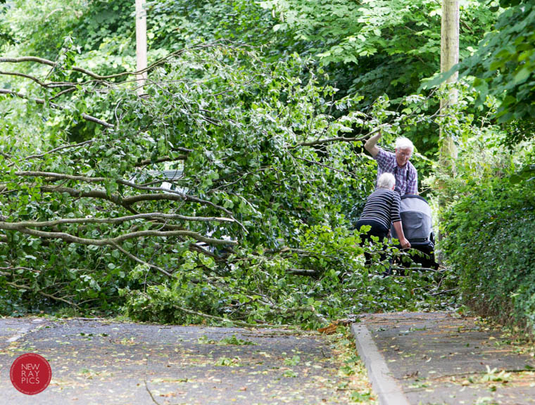 Locals struggle to go about their business on the Derrymore Road in Bessbrook following this tree fall. Photograph: NewRayPics.com Locals struggle to go about their business on the Derrymore Road in Bessbrook following this tree fall. Photograph: NewRayPics.com