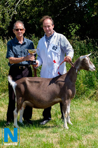 Brian O'Hare, left, Chairman of Goat section at Newry Show presents a trophy to Arthur Mullen, Newry for Corrinshego Heidi, the Supreme Champion Goat at the Show. Photograph: Columba O'Hare/ Newry.ie