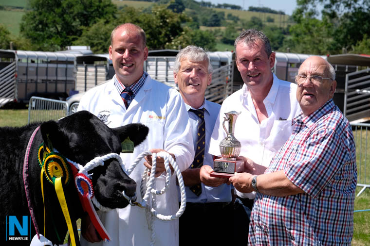 Coolermoney Frances owned by Adrian and Graeme Parke, Strabane took the Aberdeen Angus Ulster Championship award at Newry Show. Graeme Park is pictured with the winner while Niall Kearney, ABP, Sponsors, presents the Ulster Perpetual Provincial Trophy to Adrian Parke, right. Also included is Louis Byrne, second from left, Judge of the event. Photograph: Columba O'Hare/ Newry.ie