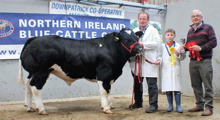 Rostrevor Max took the reserve championship at the Blue show in Downpatrick for Pascal McGinn seen here with young Harry McGinn and Pascal McGinn Senior, all from Rostrevor. 