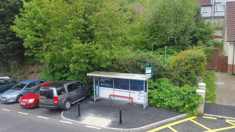 A bus shelter close to Daisy Hill Hospital with Giant Hogweed growing alongside. Photograph: David Hanna A bus shelter close to Daisy Hill Hospital with Giant Hogweed growing alongside. Photograph: David Hanna