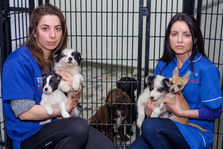 USPCA Newry, Vet Andra Teodorescu and Practice Manager/ Head Nurse, Sinead Griksas with some of the rescued puppies. Photograph: Columba O'Hare/ Newry.ie