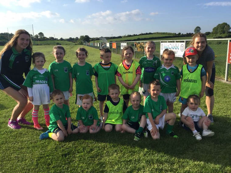 Shane O'Neills Under 6 players Shane O'Neills Under 6 players