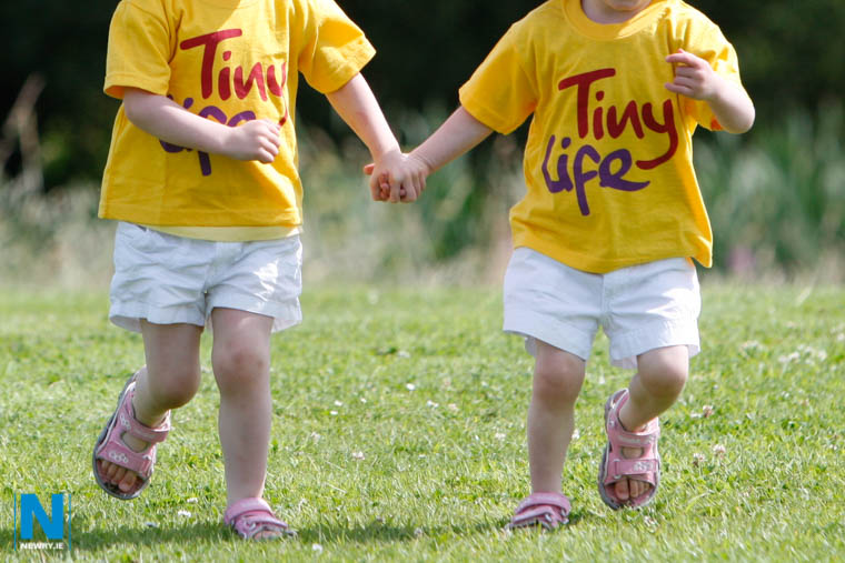 Tiny Life. Photograph: Columba O'Hare/ Newry.ie Tiny Life. Photograph: Columba O'Hare/ Newry.ie