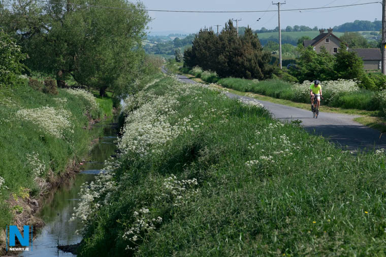 The Canal Bank, Poyntzpass. Photograph: Columba O'Hare/ Newry.ie The Canal Bank, Poyntzpass. Photograph: Columba O'Hare/ Newry.ie