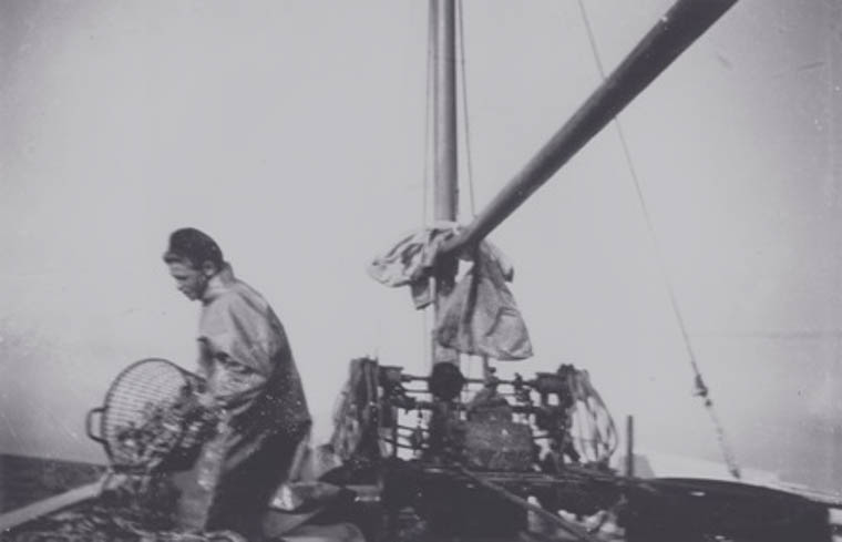 Prawn fishing in the Irish Sea in the 1950s Newry and Mourne Museum Collection