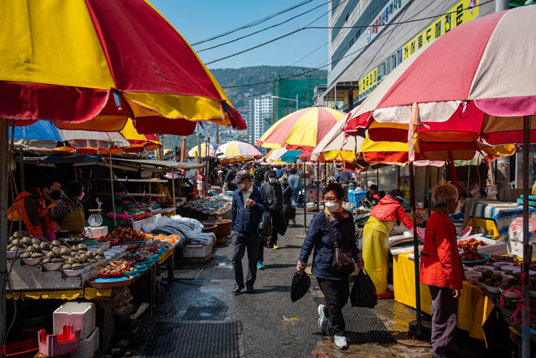 In Busan, customers have begun returning to the traditional fish market next to the port. In Busan, customers have begun returning to the traditional fish market next to the port.
