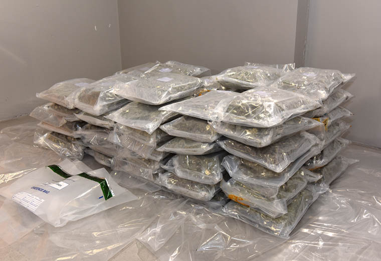 The seized drugs The seized drugs