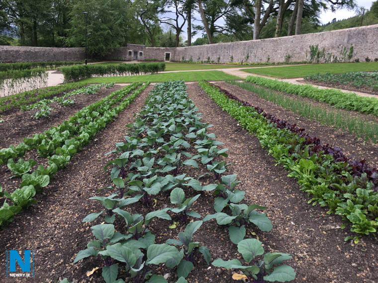 The Walled Garden at Killeavey Castle. Photograph: Columba O'Hare/ Newry.ie The Walled Garden at Killeavey Castle. Photograph: Columba O'Hare/ Newry.ie