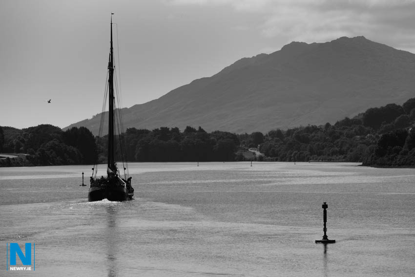 As Free as a Bird!  Silvery Light Sailing's Volharding makes it's way out into Carlingford Lough after a short 50 minute spin down Newry Ship Canal from the Port of Newry 