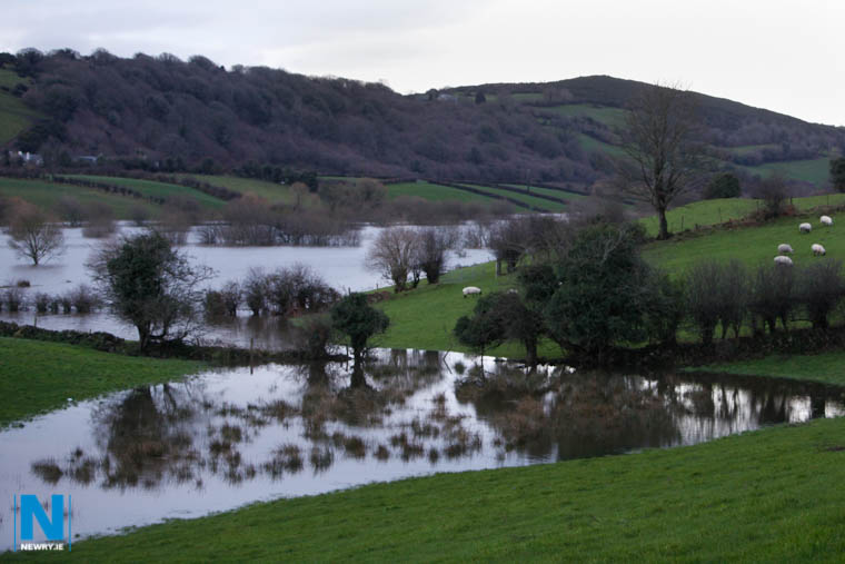 Flooding near Ballyholland in 2015. Photograph: Columba O'Hare/ Newry.ie Flooding near Ballyholland in 2015. Photograph: Columba O'Hare/ Newry.ie