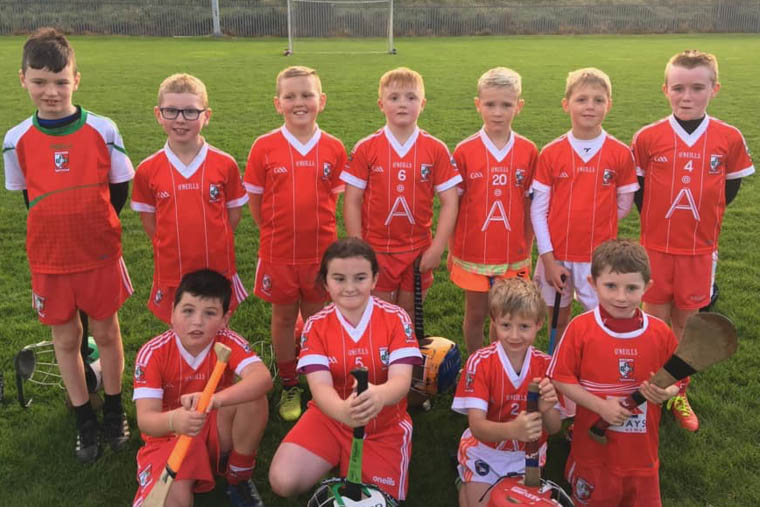 Members of Craobh Rua Under 8 panel after their game at Newry Shamrocks