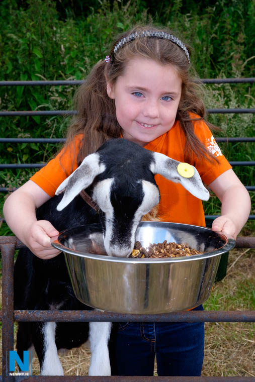 Newry Show is the place to be this Saturday 29 June with something for all the family. Photograph: Columba O'Hare/ Newry.ie Newry Show is the place to be this Saturday 29 June with something for all the family. Photograph: Columba O'Hare/ Newry.ie