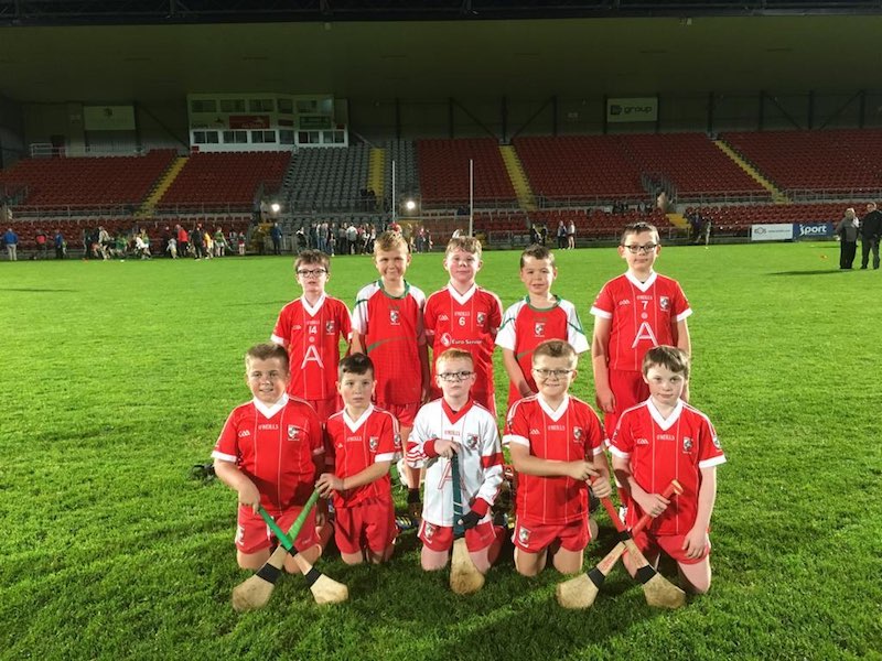 Craobh Rua U10 Team that participated in the Newry Shamrocks Tony Carr Memorial Blitz   