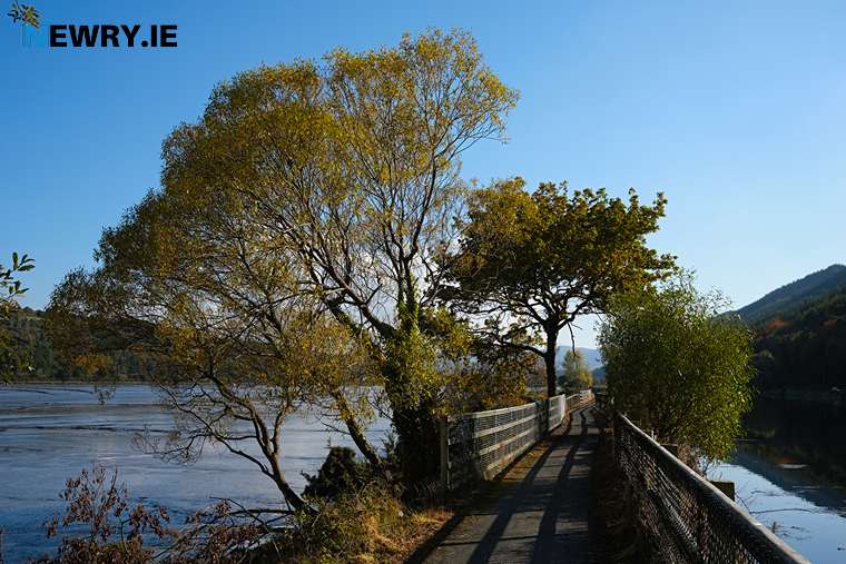 The Carlingford Lough Greenway. Photograph: Columba O'Hare The Carlingford Lough Greenway. Photograph: Columba O'Hare