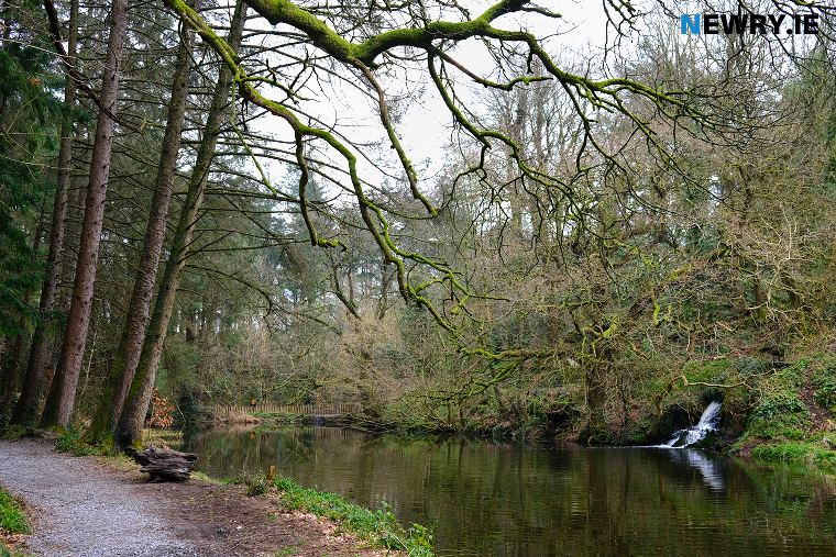 The lake in Glenanne Wood. Photograph: Columba O'Hare/ Newry.ie The lake in Glenanne Wood. Photograph: Columba O'Hare/ Newry.ie