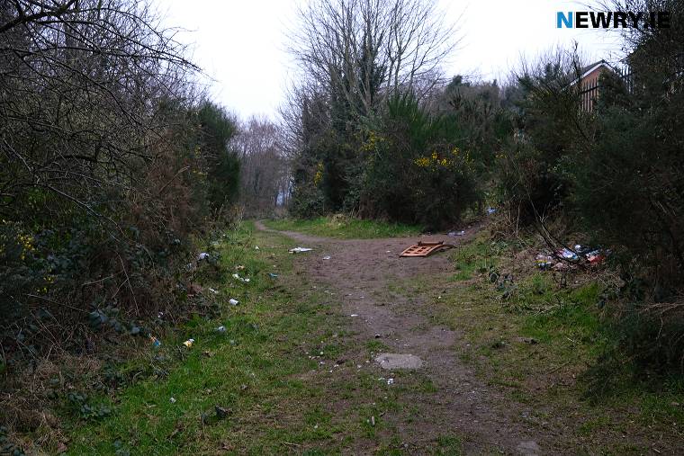 Litter is a problem in the facility at present. Daisy Hill Wood. Photograph: Columba O'Hare/ Newry.ie Litter is a problem in the facility at present. Daisy Hill Wood. Photograph: Columba O'Hare/ Newry.ie