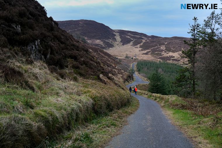 Camlough Mountain Forest walk. Photograph: Columba O'Hare/ Newry.ie 