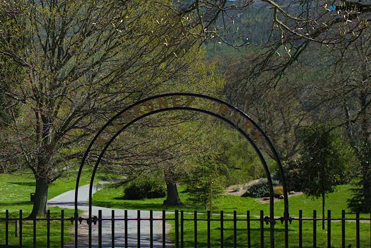 Kilbroney Park Kilbroney Park