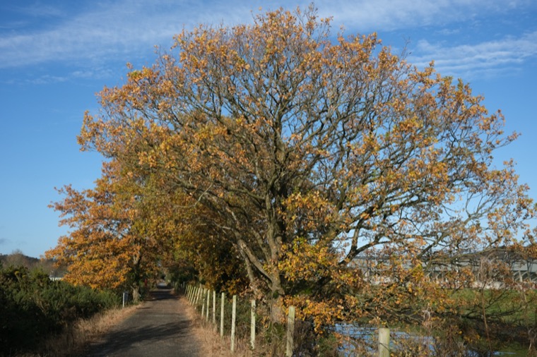 The completed Newry section of the Carlingford Lough Greenway. Photograph: Columba O'Hare The completed Newry section of the Carlingford Lough Greenway. Photograph: Columba O'Hare