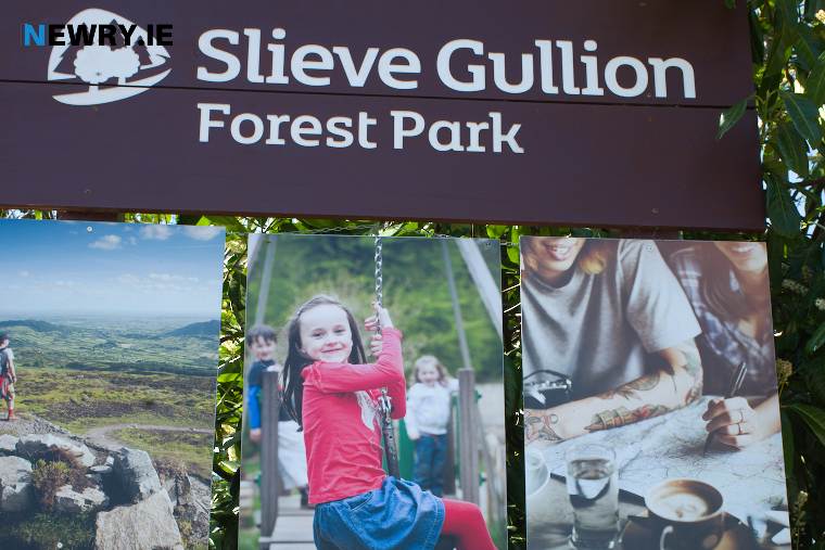 Slieve Gullion Forest Park is one of the sites where parking charges are being proposed. Photograph: Columba O'Hare Slieve Gullion Forest Park is one of the sites where parking charges are being proposed. Photograph: Columba O'Hare