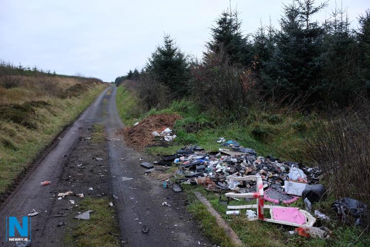 Roadside dumping at Carrickatuke back in 2016. Photograph: Columba O'Hare/ Newry.ie Roadside dumping at Carrickatuke back in 2016. Photograph: Columba O'Hare/ Newry.ie