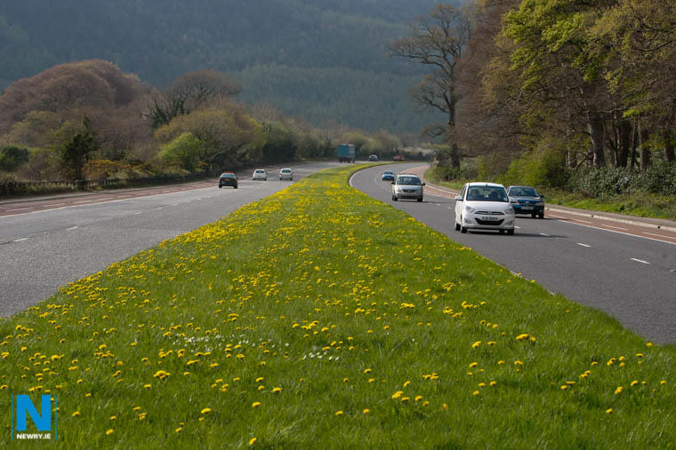The Warrenpoint Dual Carriageway. Photograph: Columba O'Hare/ Newry.ie The Warrenpoint Dual Carriageway. Photograph: Columba O'Hare/ Newry.ie