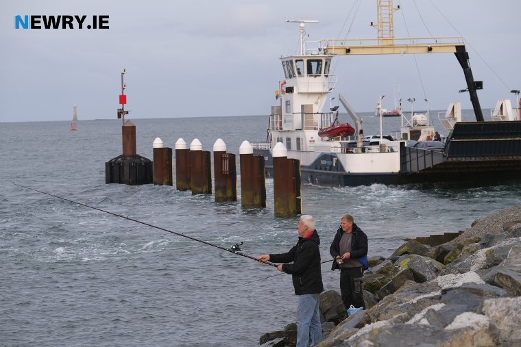 The Carlingford Lough Ferry at Greenore. Photograph: Columba O'Hare 