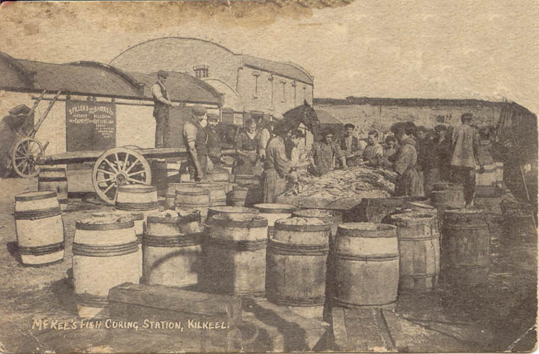 Employees at work at McKee’s Fish Curing Station, c.1905. A store belonging to Spillers & Bakers Ltd can be seen in the background. Newry and Mourne Museum Collection