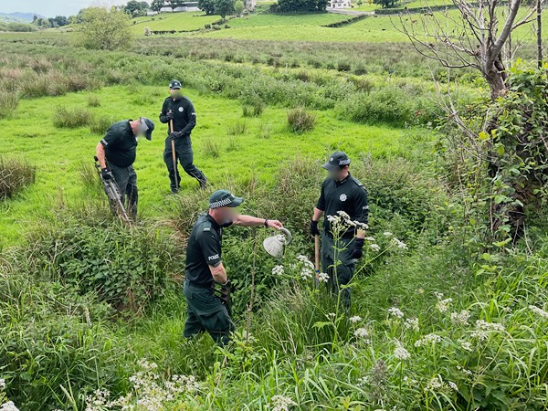 Police carry out a search after the attack near Ballyholland. Photograph: Mark Pearce/ NewRayPics