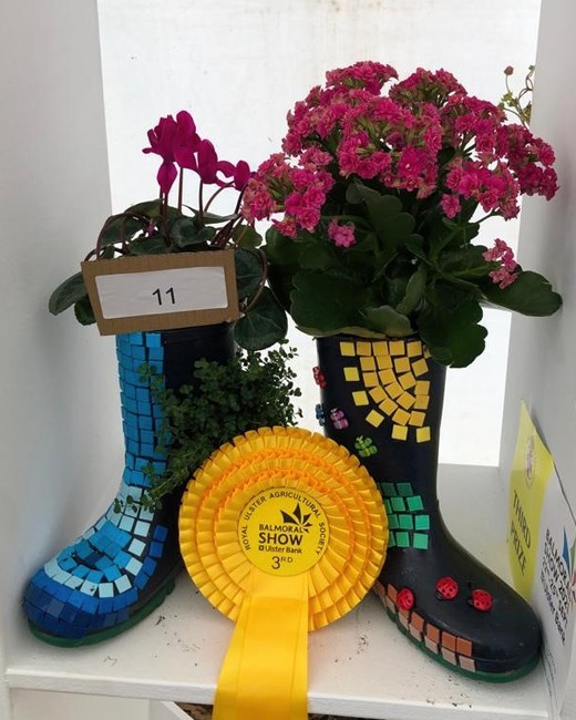 The entry from Zara Little, Poyntzpass who came third in the 12-17 year old class. The entry from Zara Little, Poyntzpass who came third in the 12-17 year old class.