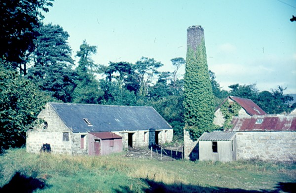 The ruins of Forsythe’s scotch mill in Ballinran, near Kilkeel, pictured in the 1970s. This was one of a number of scutch mills on the Kilmorey estate in the Kikeel area. Newry and Mourne Museum Collection