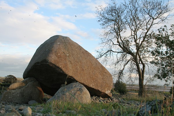 Kilfeagahan Portal Tomb, Rostrevor, county Down © Newry and Mourne Museum (photograph by Christina Joyce) An excavation of the chamber in 1912 – 14 uncovered bones, flints and Neolithic pottery. Newry and Mourne Museum Collection Kilfeagahan Portal Tomb, Rostrevor, county Down © Newry and Mourne Museum (photograph by Christina Joyce) An excavation of the chamber in 1912 – 14 uncovered bones, flints and Neolithic pottery. Newry and Mourne Museum Collection