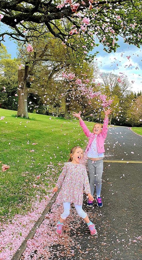 Third place in NPOY April round is Janine McArdle. Third place in NPOY April round is Janine McArdle.