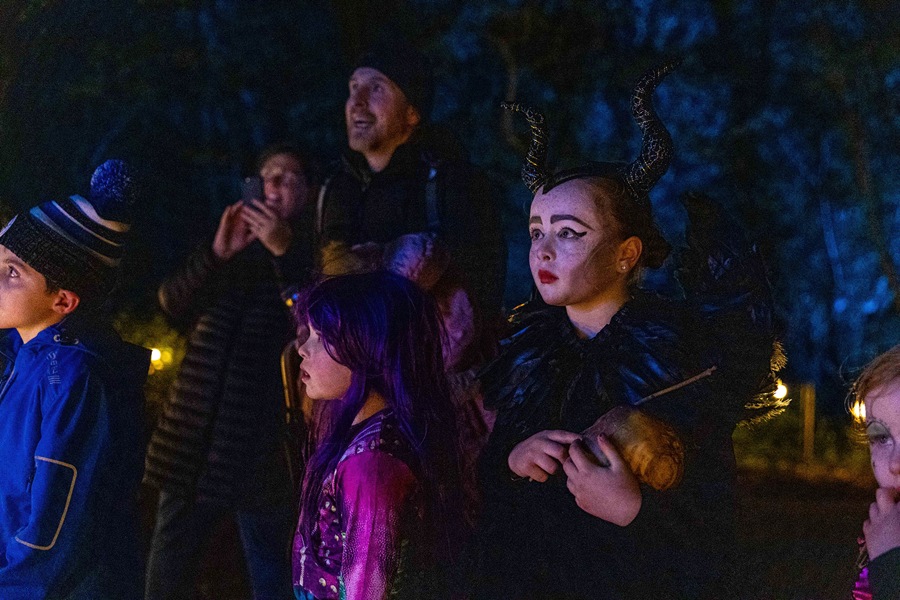 Visitors to the Footsteps in the Forest festival at Slieve Gullion Forest Park are captivated by the enthralling stories and characters.