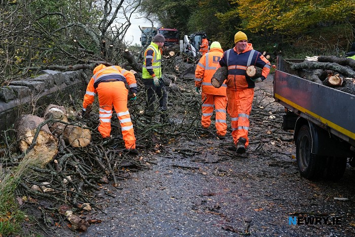 Clearing the tree from the Hilltown Road. Photograph: Columba O'Hare/ Newry.ie