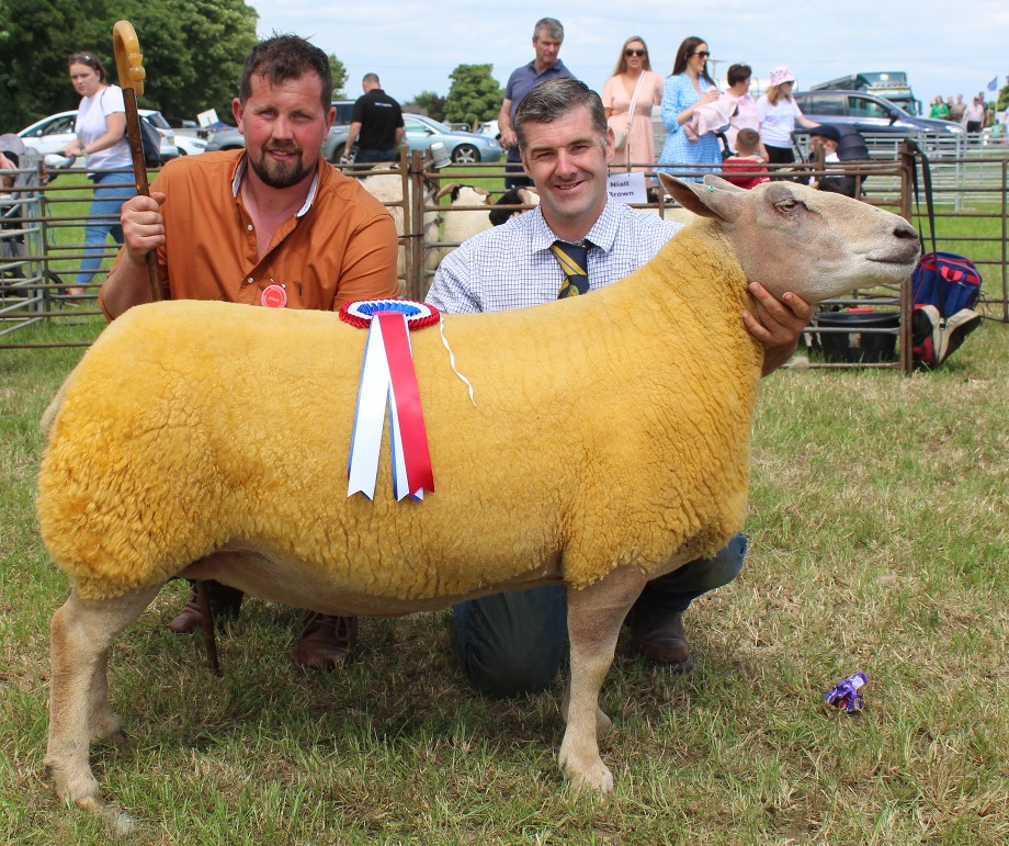 Trevor Bell (right) with the Sheep Inter-Breed champion at Newry Show 2023. Adding his congratulations is Eamonn Convery, who judged the class
