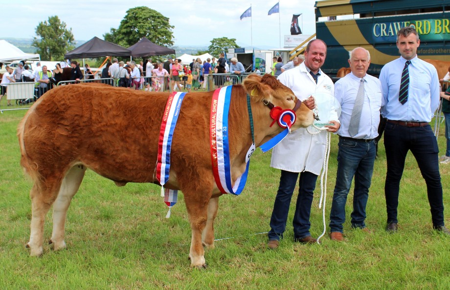 Connor Mulholland at the head of the Supreme Cattle champion at Newry Show 2023. Adding their congratulations are Martin Kirk, who judged the clss and James McAvoy, Fane Valley.